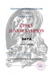 Daya Junior ampion