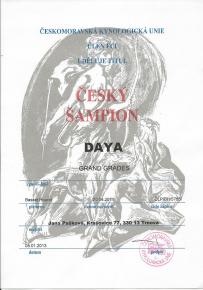 Daya esk ampion