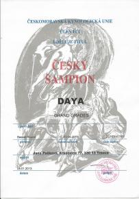 Daya esk ampion