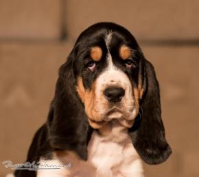 Mary Louise 6,5 týdne