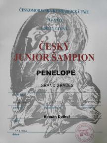 Penelop