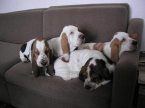 Bradwill+Belinda+Benjamine+Beatrix