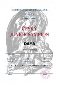 Daya Junior šampion