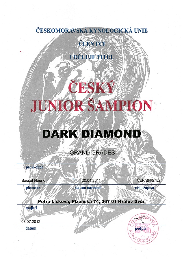Dark Diamond-JCH
