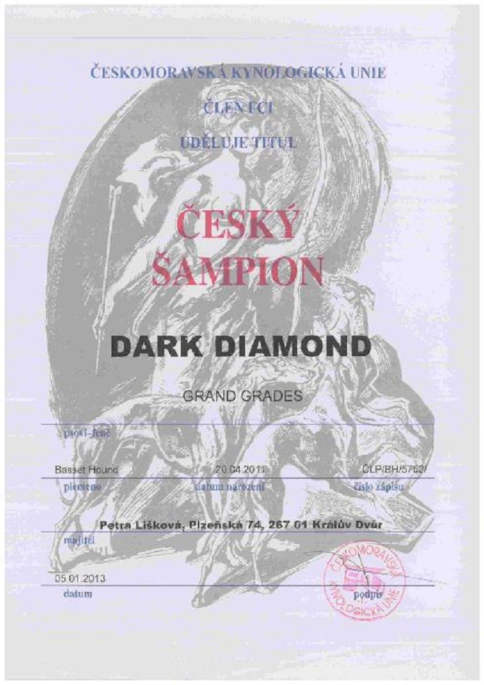 Dark Diamond-CAC