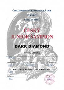 Dark Diamond Junior šampion